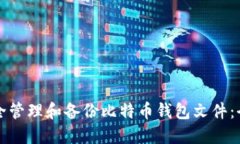 如何安全管理和备份比特币钱包文件：全面指南